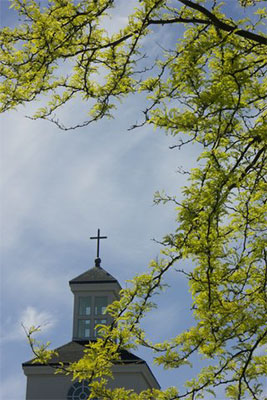 St FX Steeple