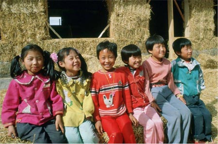 Straw Bale Housing in China