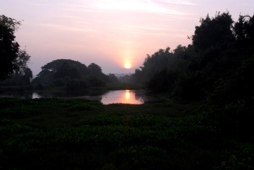 Photo of Ratchatani Asoka, Thailand