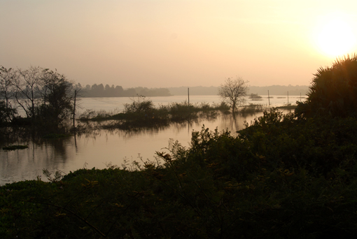 Photo of Ratchatani Asoka, Thailand