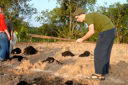 Photo of Ratchatani Asoka, Thailand