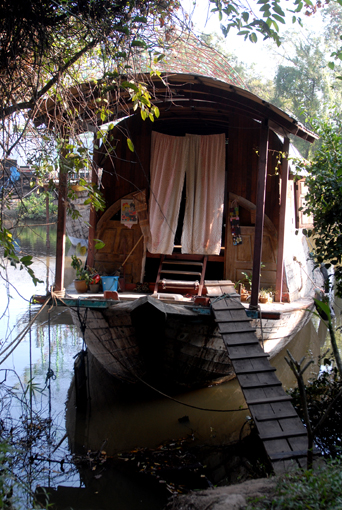 Photo of Ratchatani Asoka, Thailand